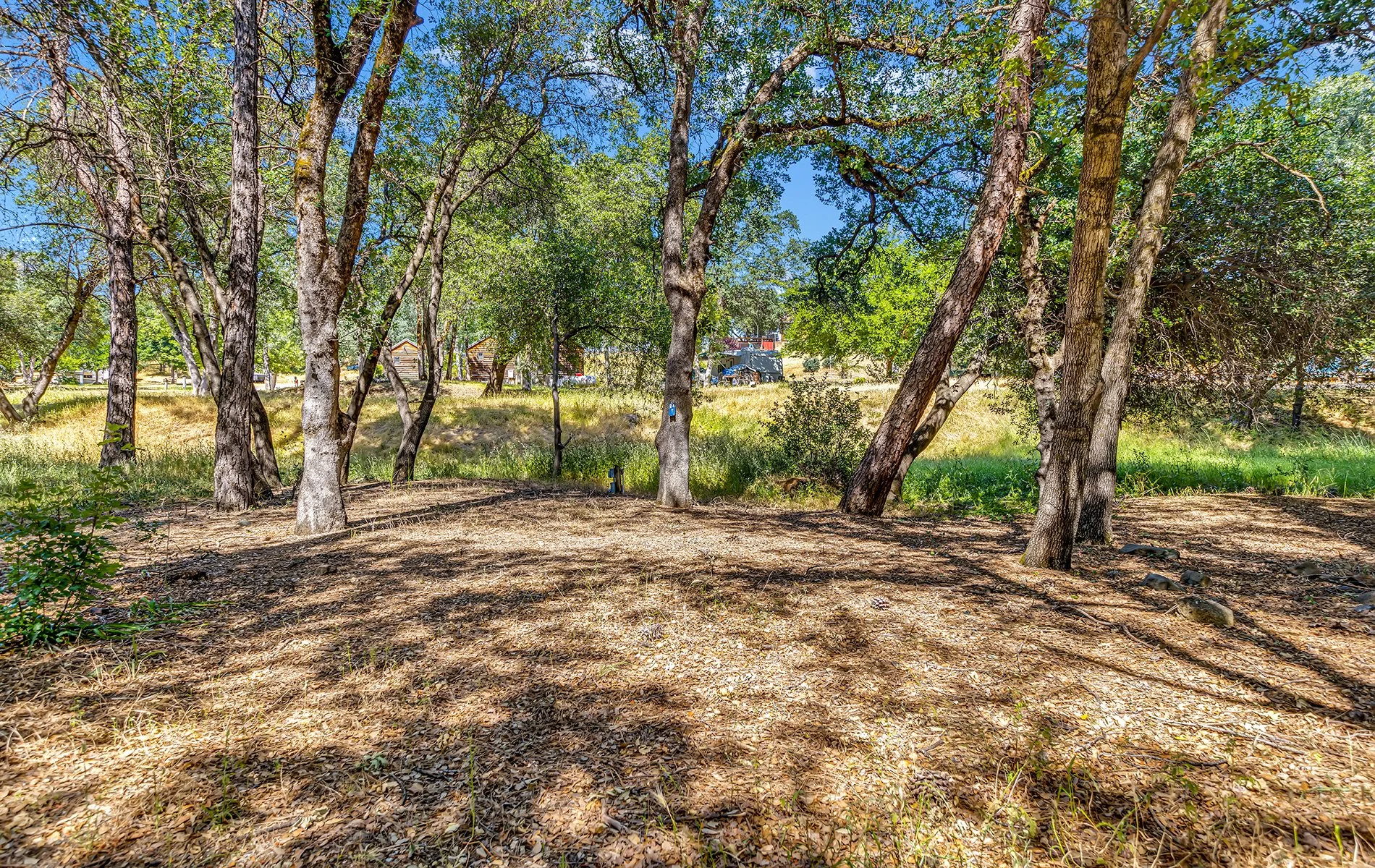 14216 Bear Mountain Rd - Redding 019.jpg