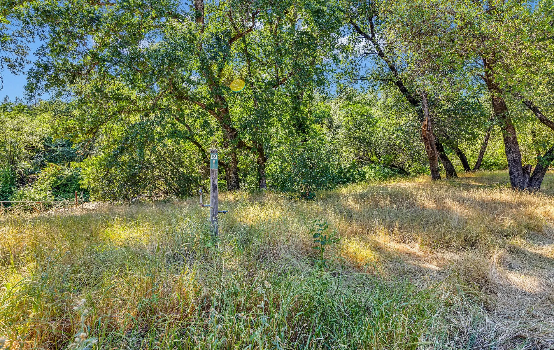 14216 Bear Mountain Rd - Redding 024.jpg