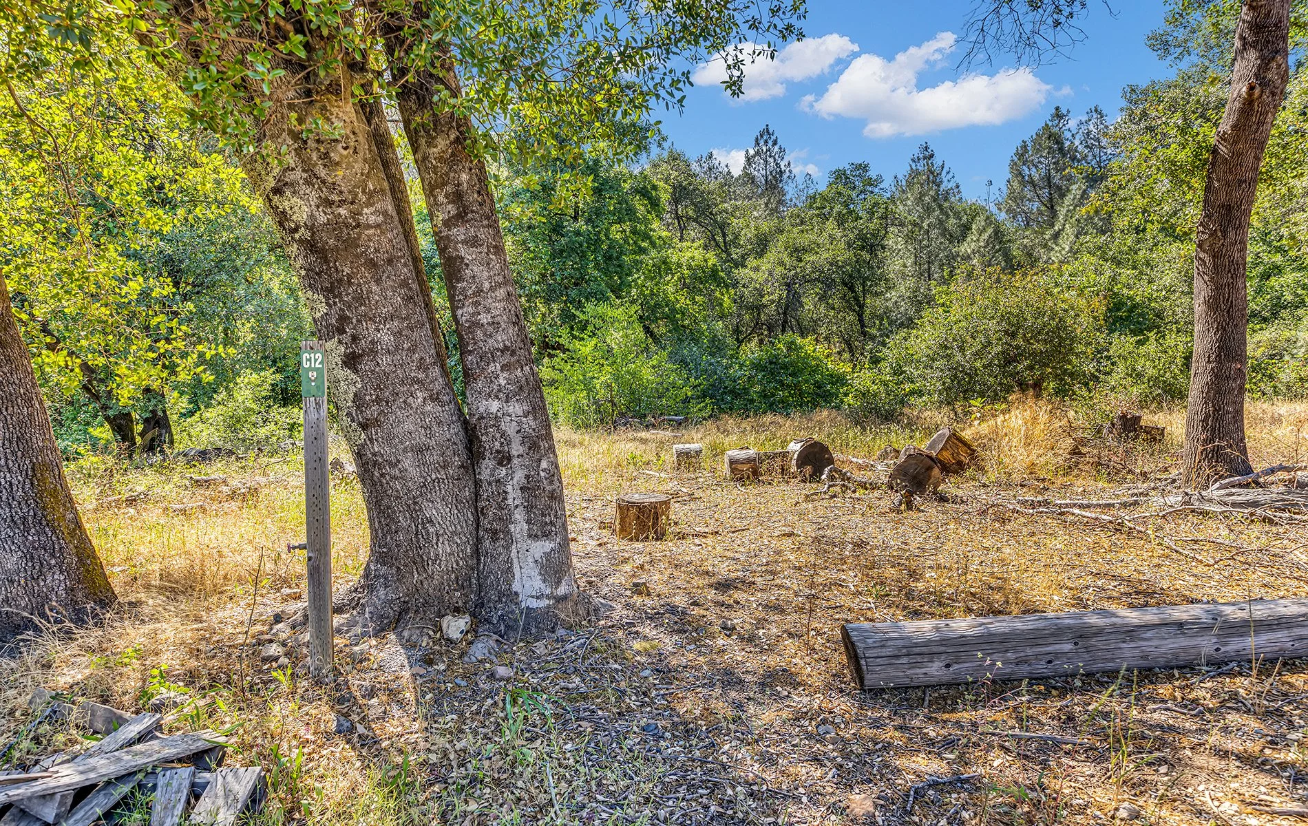 14216 Bear Mountain Rd - Redding 027.jpg