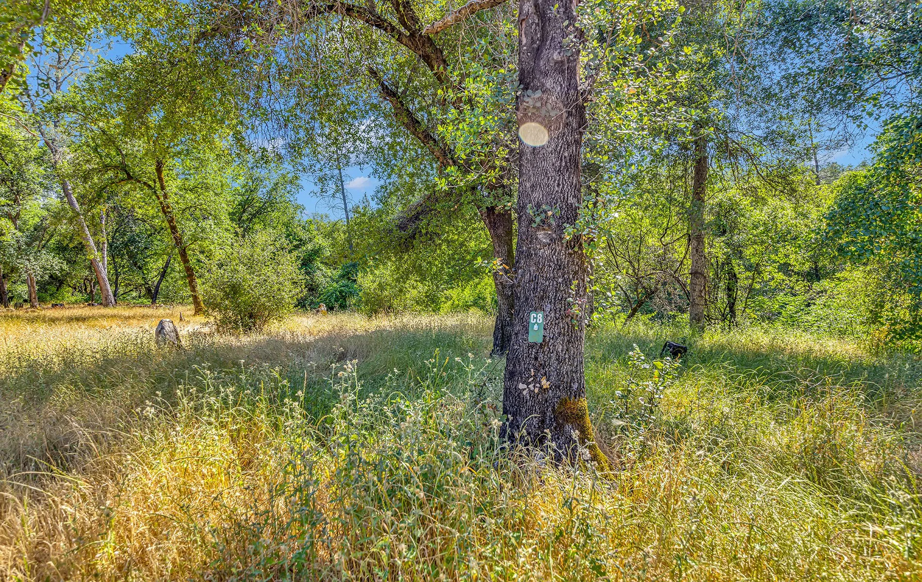 14216 Bear Mountain Rd - Redding 021.jpg