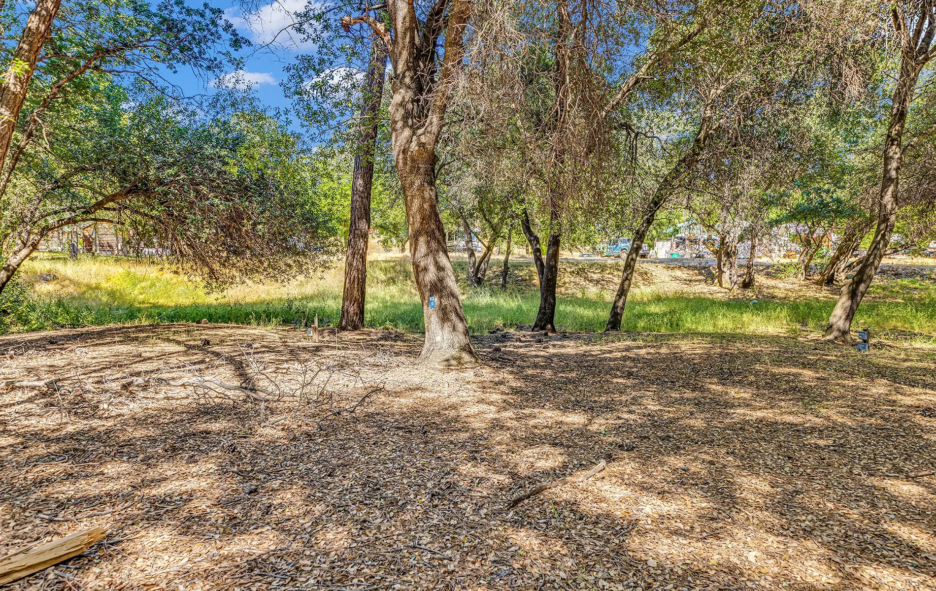 14216 Bear Mountain Rd - Redding 018.jpg