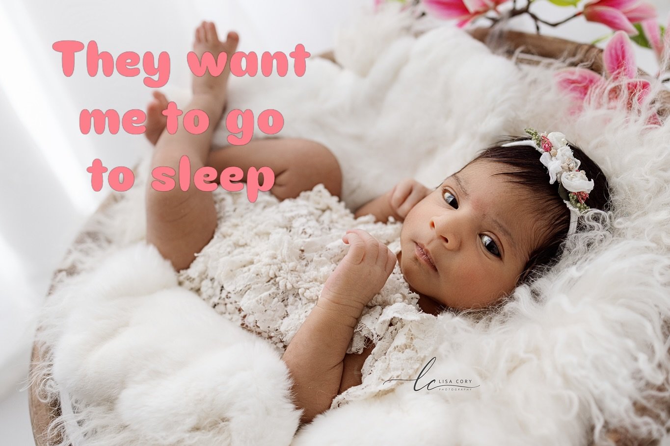 Newborn photo sessions can be unpredictable.  Some babies will sleep through their entire session without making a peep.  Other babies will want to stay away and have serious FOMO.  There are also the in between babies that sleep and also have wakefu