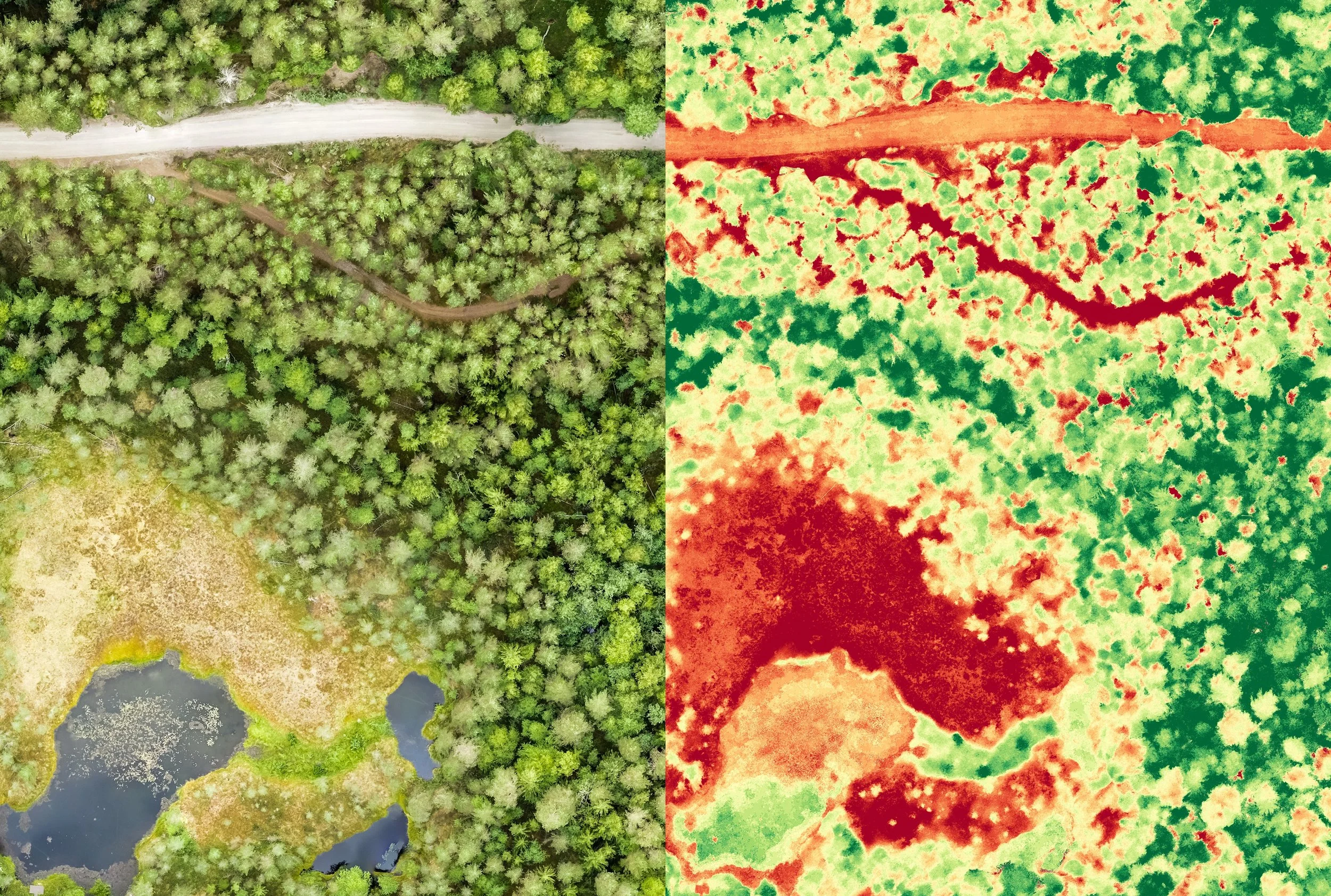 Spectral GIS analysis showing vegetation/dirt classification.