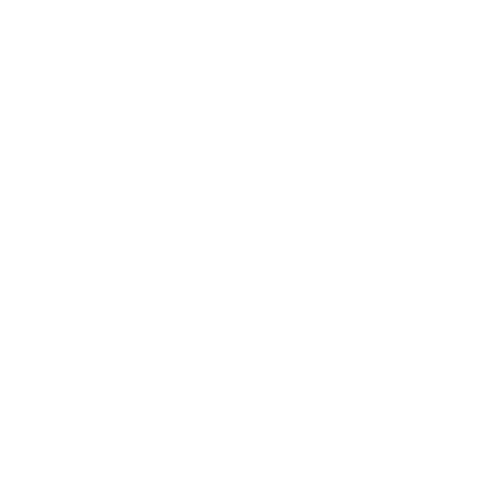 Nomadix logo
