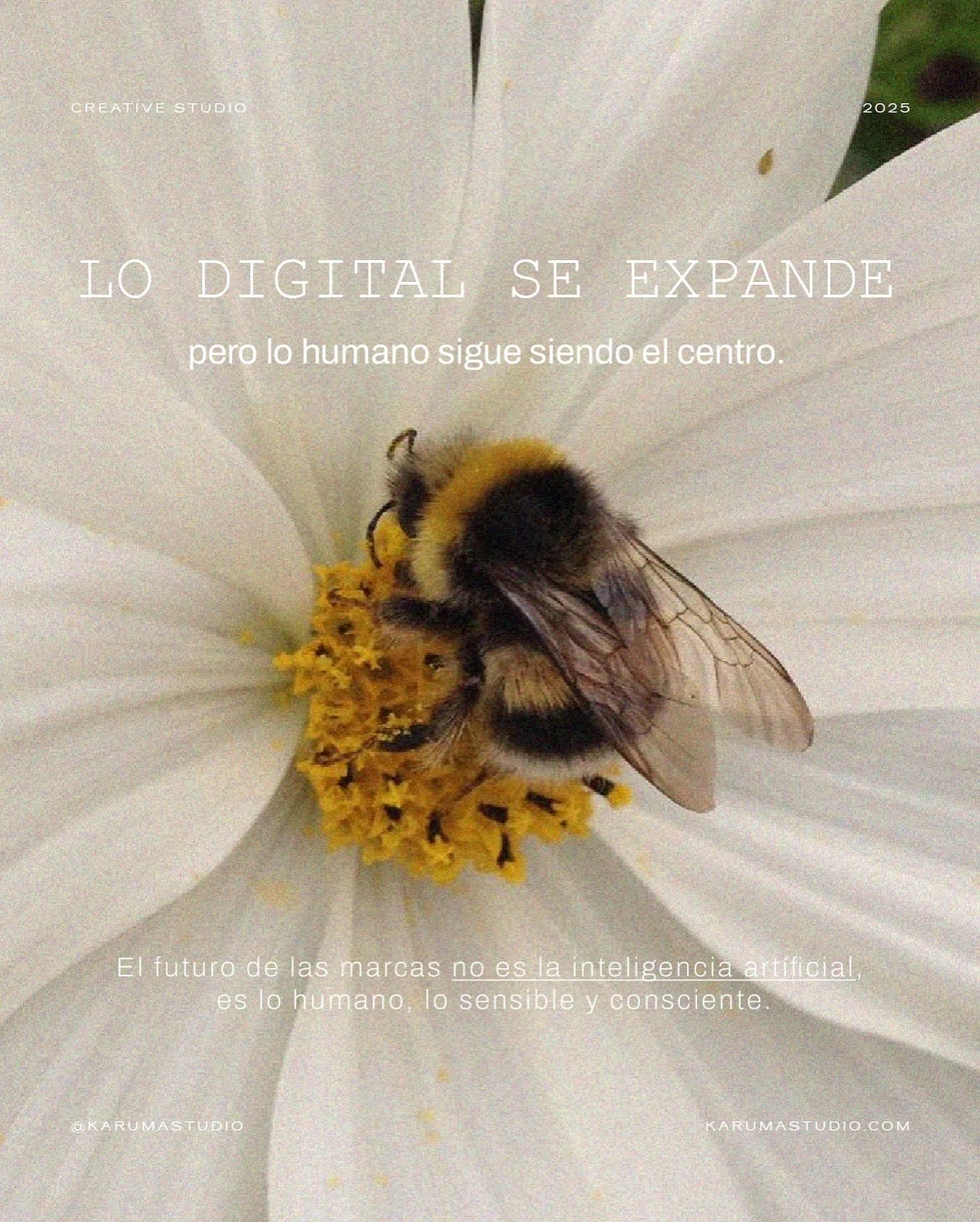 En medio de la velocidad de lo digital, hay algo que nunca cambia: la necesidad de sentirnos cerca, de conectar desde el coraz&oacute;n 🫀

Las marcas que perduran no son las que gritan m&aacute;s fuerte, sino las que saben tocar lo invisible: la mem
