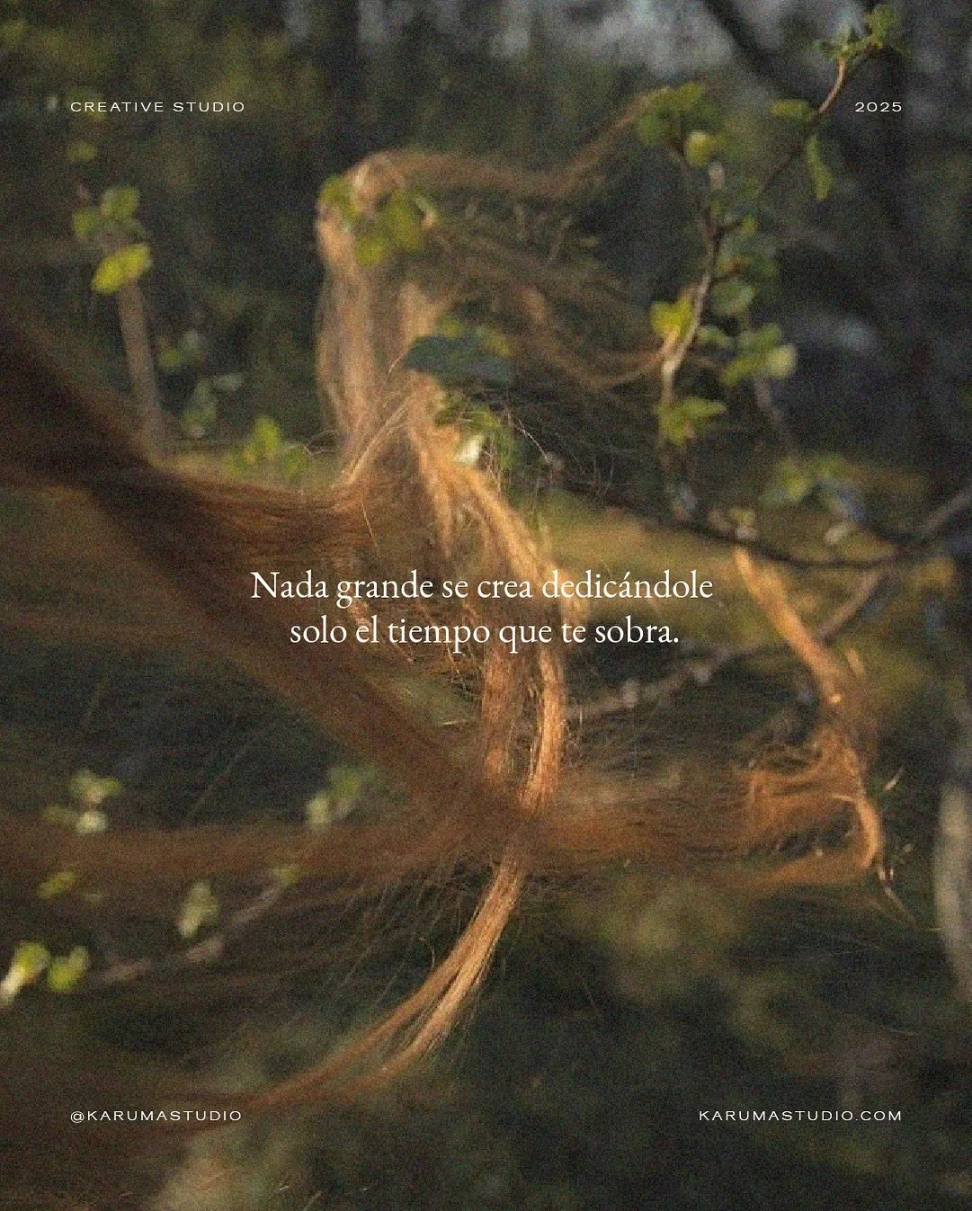 Invertir en tu proyecto no es un gasto: es una siembra. 

Es un acto de amor hacia la vida que deseas crear 🌱 No esperes a que el tiempo aparezca como por arte de magia, cr&eacute;alo. Haz de tu negocio un espacio sagrado donde tu energ&iacute;a se 