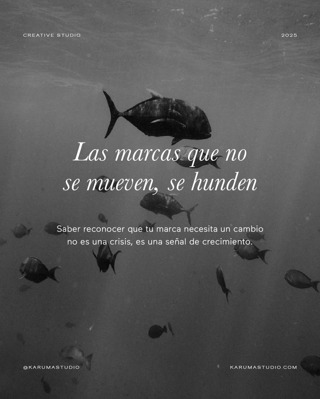 Cuando una marca deja de evolucionar, empieza a perder claridad. No porque est&eacute; mal hecha, sino porque ya no refleja lo que hoy ofrece ni c&oacute;mo lo ofrece.

El mercado cambia, la audiencia cambia, los objetivos cambian y la marca necesita
