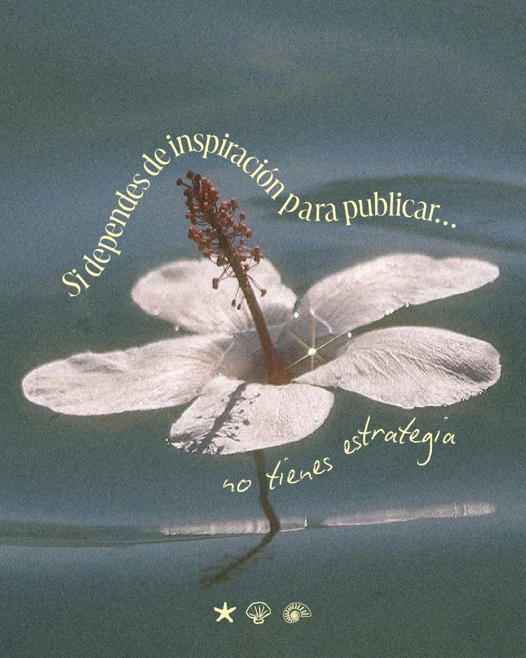 Amigas aqu&iacute; les voy a contar algo que he notado bastante &uacute;ltimamente, y es que muchas marcas sienten que cada semana empiezan desde cero; es decir, pensar ideas, ver qu&eacute; publicar, intentar mantenerse visibles, pero cuando la insp