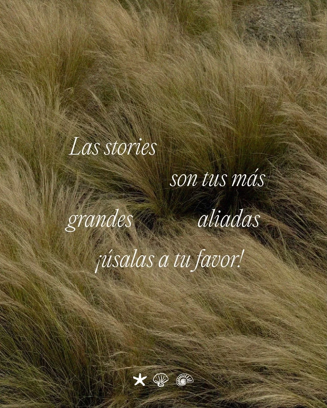 Es cierto que tenemos bien metido el pensamiento que para &ldquo;estar&rdquo; en redes tenemos que hacerlo perfecto. Creemos que cada cosa que compartimos tiene que estar pensada, dise&ntilde;ada, pulida y perfecta. 

Y entonces las stories se quedan