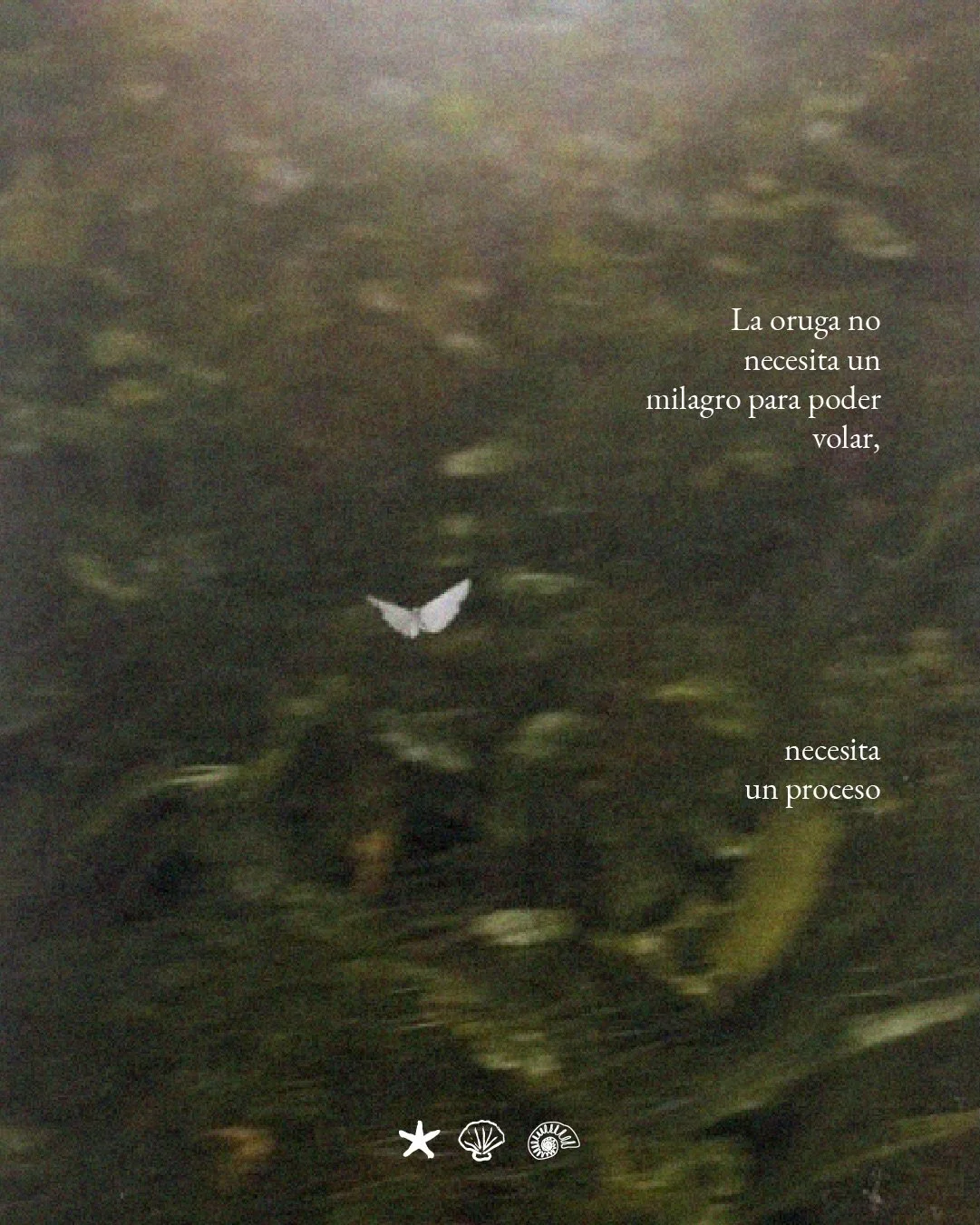 En la vida hay momentos en los que todo dentro de nosotras quiere respuestas ya. Pedimos claridad, se&ntilde;ales o algo que nos diga que vamos bien.

Pero la verdad es m&aacute;s simple que eso y tambi&eacute;n m&aacute;s poderosa, lo que estamos tr