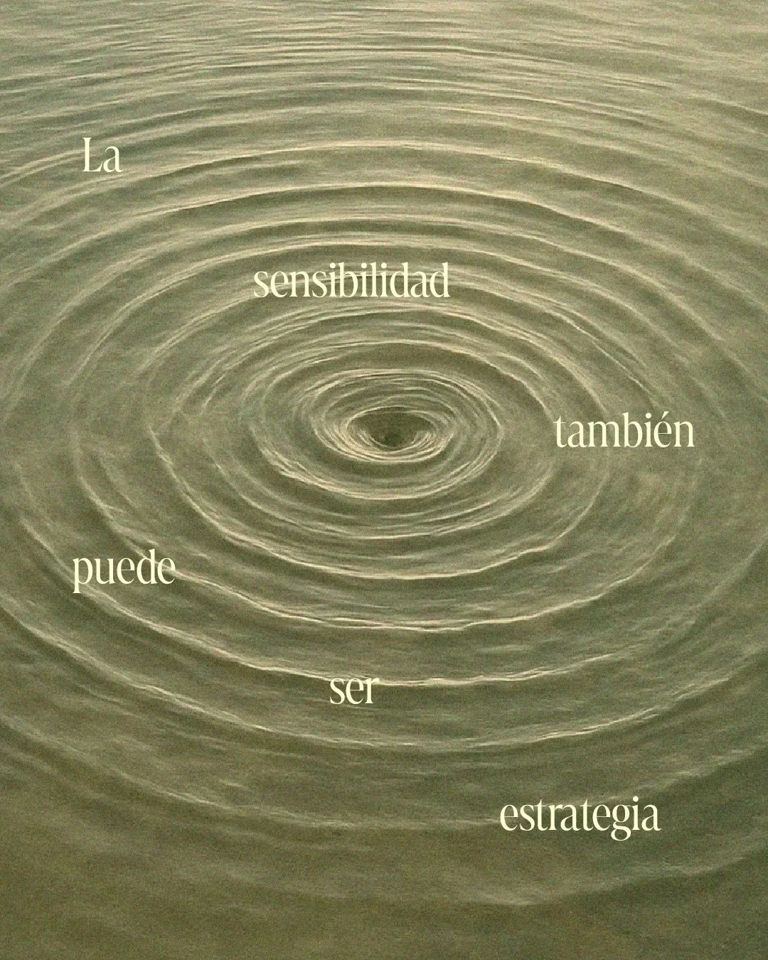 Una marca sensible conecta de una manera m&aacute;s profunda porque muestra justamente eso; la parte humana, org&aacute;nica, natural y honesta del proyecto 🍃

Es por eso que en medio de esta era de b&uacute;squeda constante de perfecci&oacute;n, en