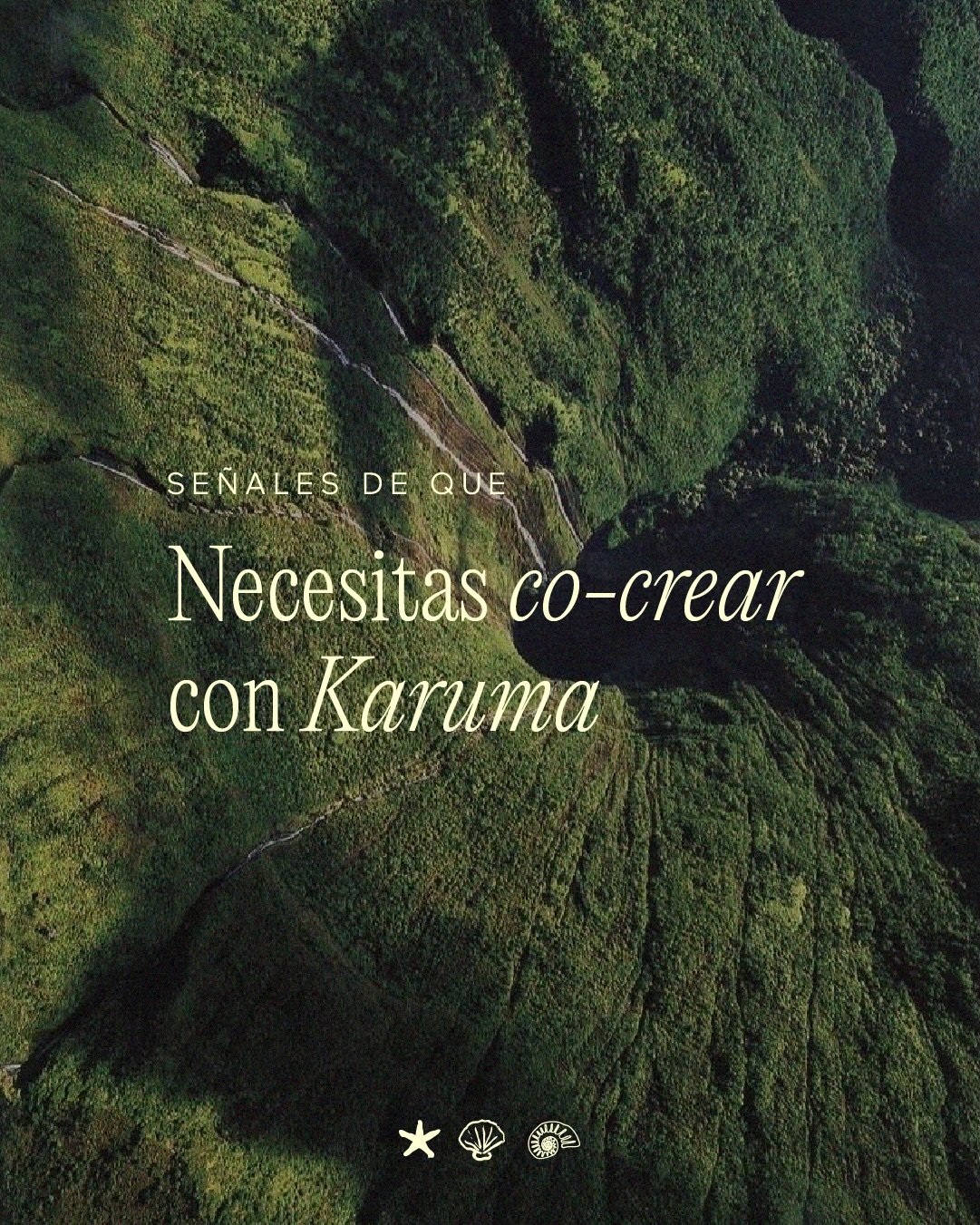 Si mientras le&iacute;as fuiste haciendo check mental en cada punto, es una se&ntilde;al 💫 Tu marca tiene todo para crecer, solo necesita la direcci&oacute;n, la constancia y la energ&iacute;a creativa correcta. 

En Karuma somos esa socia que mezcl