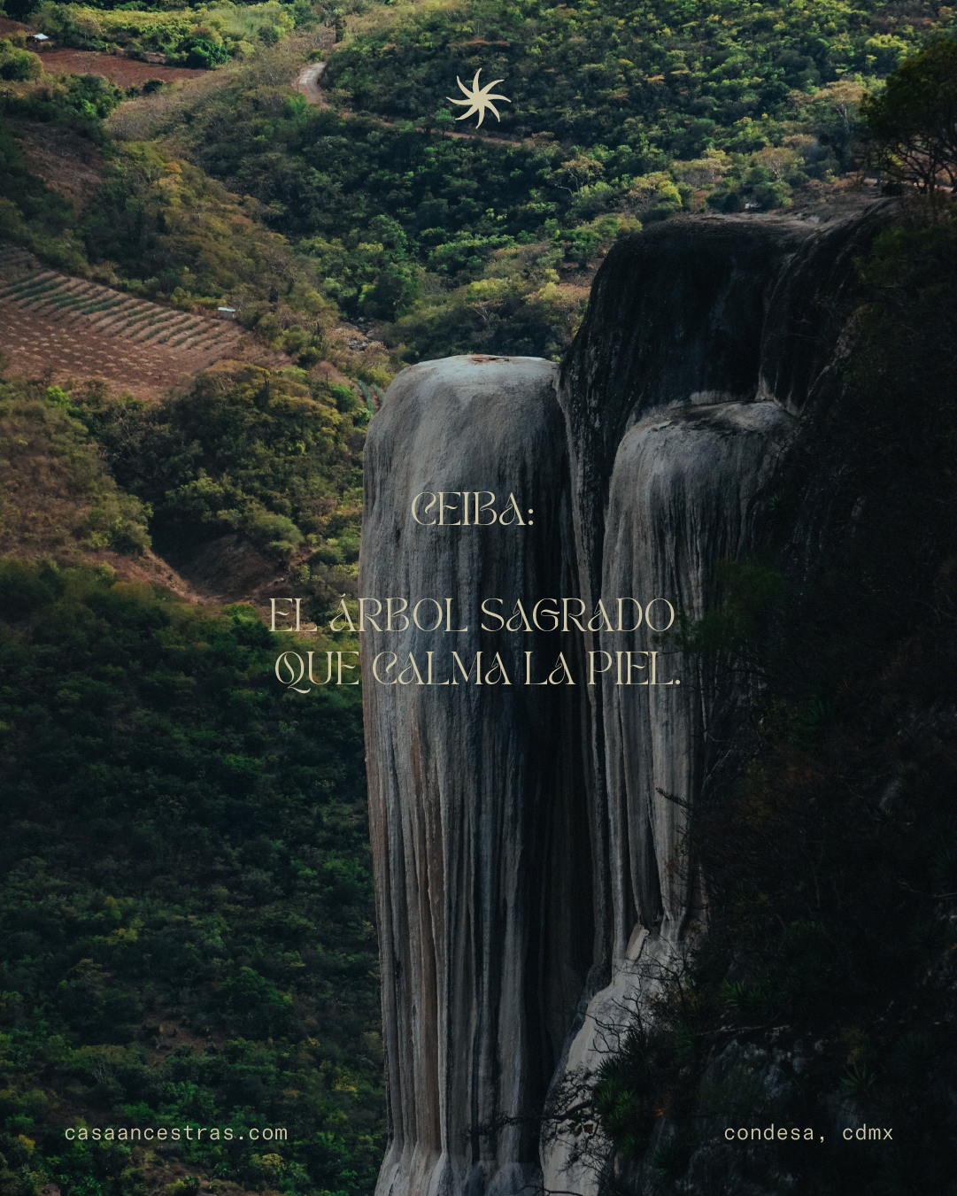 CASANCESTRAS-OCT_7.png