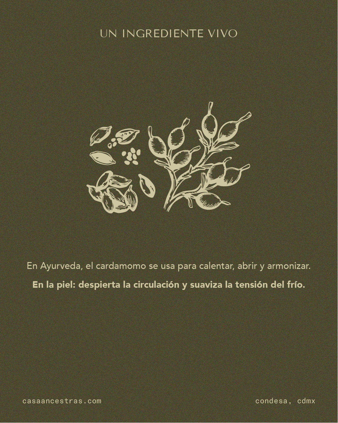Casa ancestras_5.png
