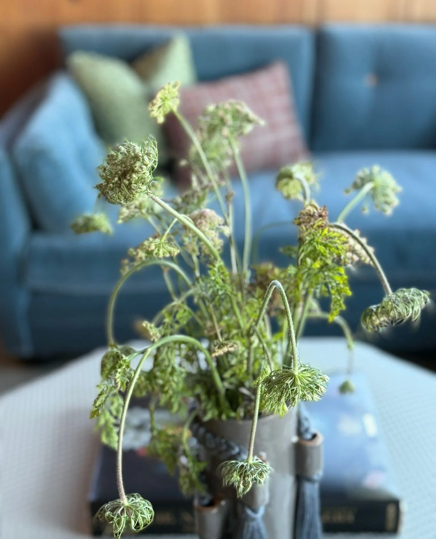 On the top floor of our Casa Drive project lives the lounge&mdash;a space reimagined in a cool color palette to echo the home&rsquo;s sweeping 360&deg; bay views.⁠
⁠
A generous sectional (craned in through the window), a bar wrapped in antique mirror