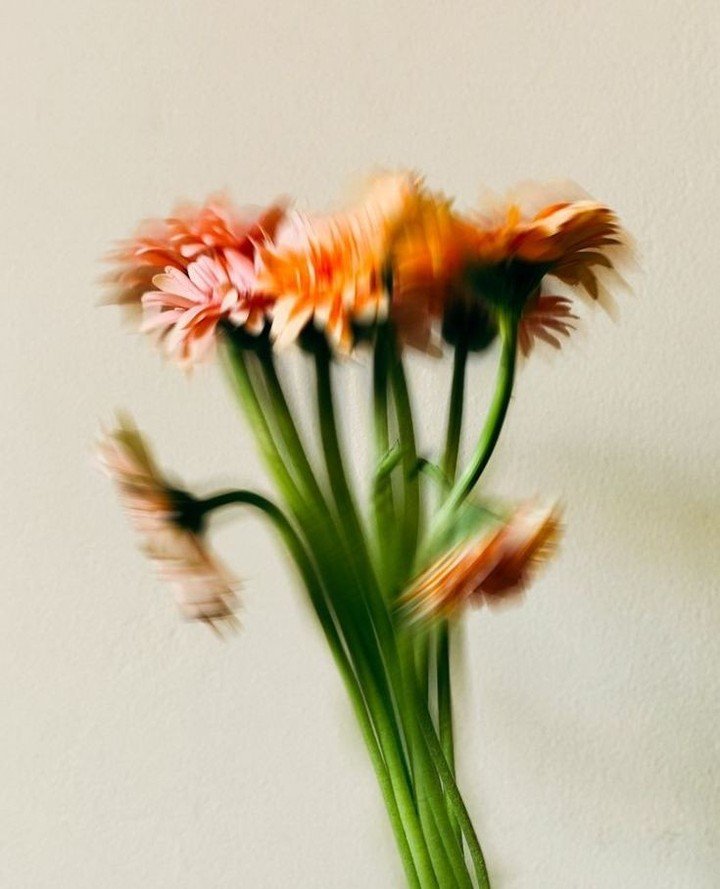 Currently living in my &ldquo;saved&rdquo; folder ✨⁠
A little round-up of what&rsquo;s been catching my eye lately. ⁠