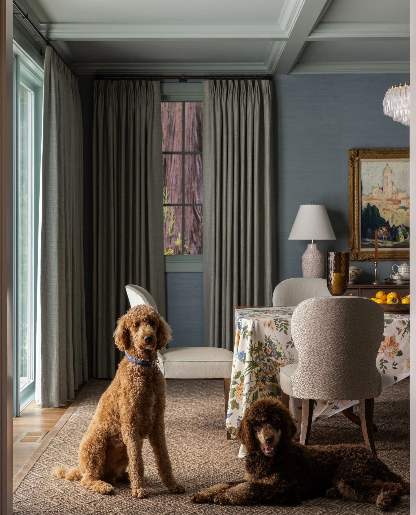 There&rsquo;s room for everyone in Woodside! 🐩