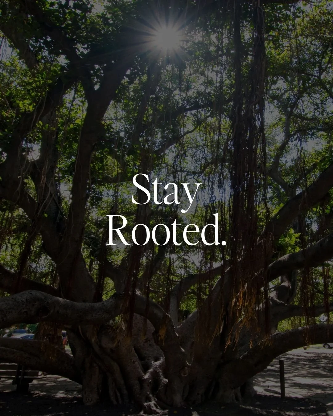 There&rsquo;s something about being surrounded by creation that brings you back to what matters. You were created for more.

#creation #createdformore #biblestudyretreat #christianwomen