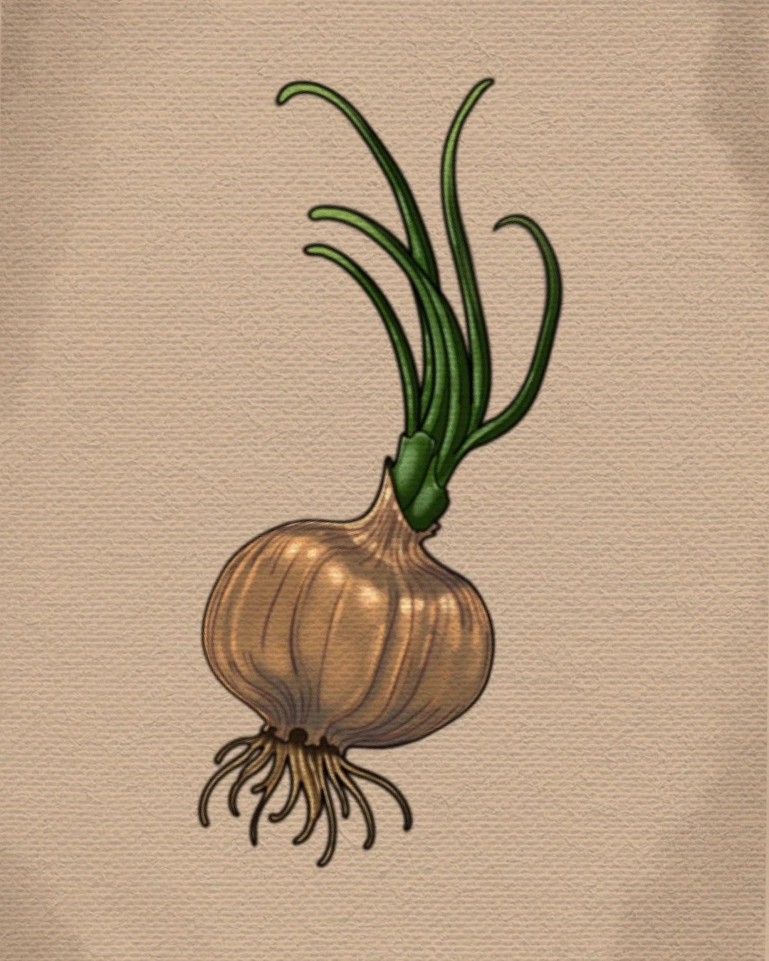 Untitled_Artwork (42).jpeg