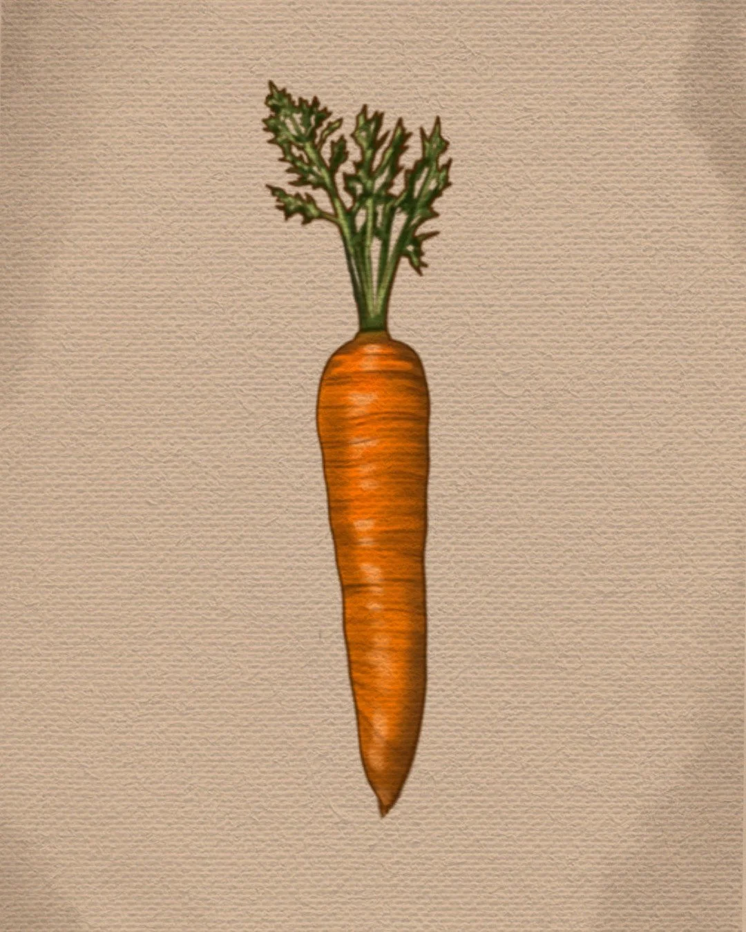 Untitled_Artwork (45).jpeg