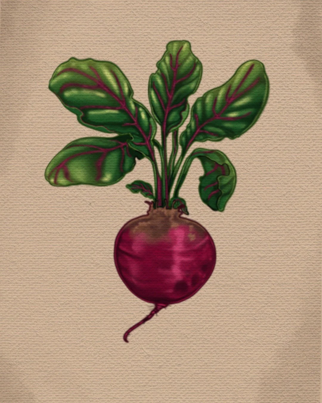 Untitled_Artwork (47).jpeg