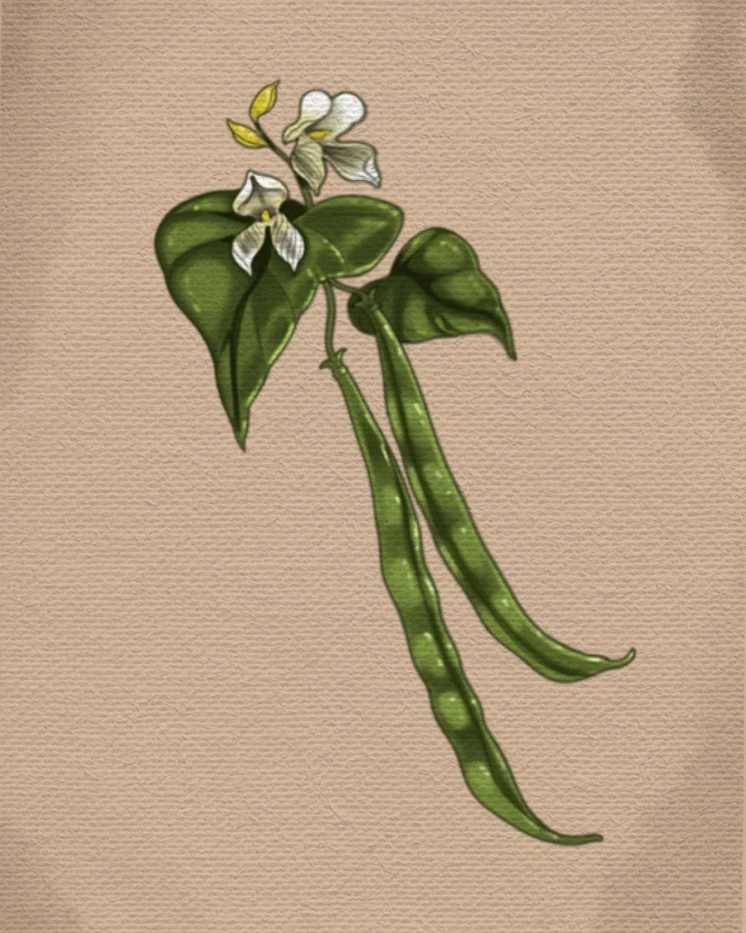 Untitled_Artwork (49).jpeg