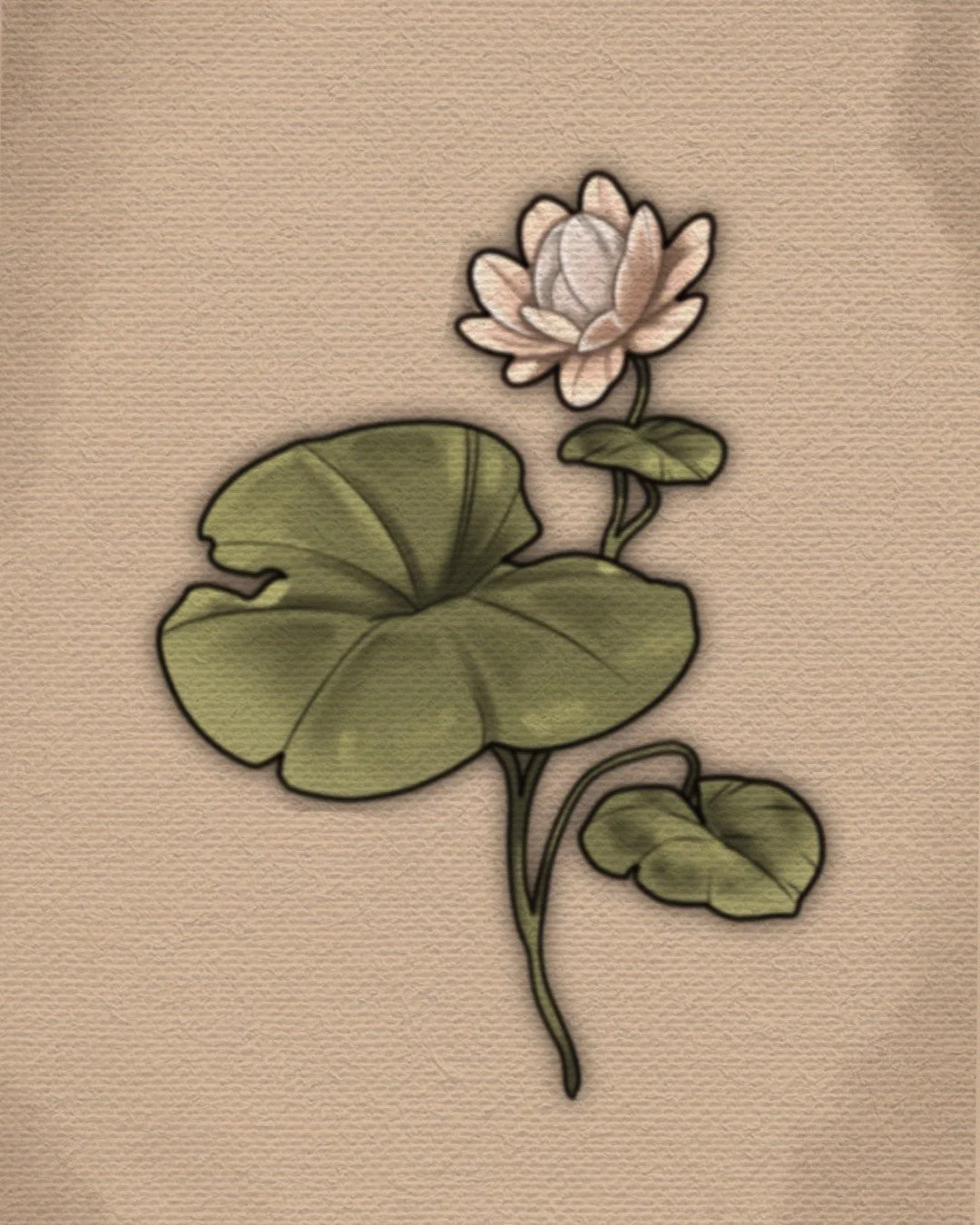 Untitled_Artwork (20).jpeg