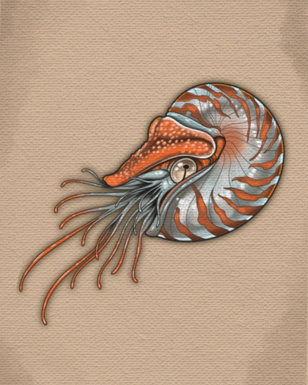 Untitled_Artwork (36).jpeg