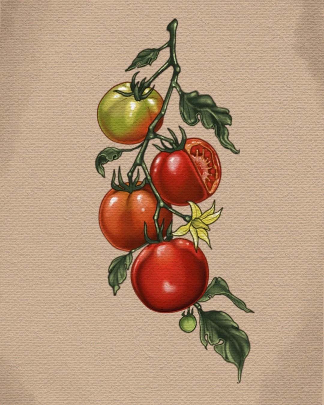 Untitled_Artwork (48).jpeg