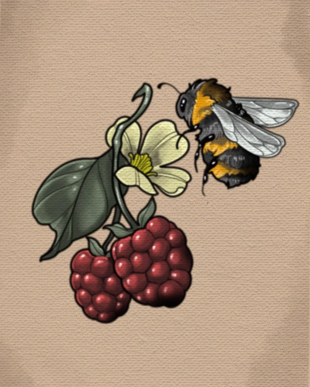 Untitled_Artwork (50).jpeg