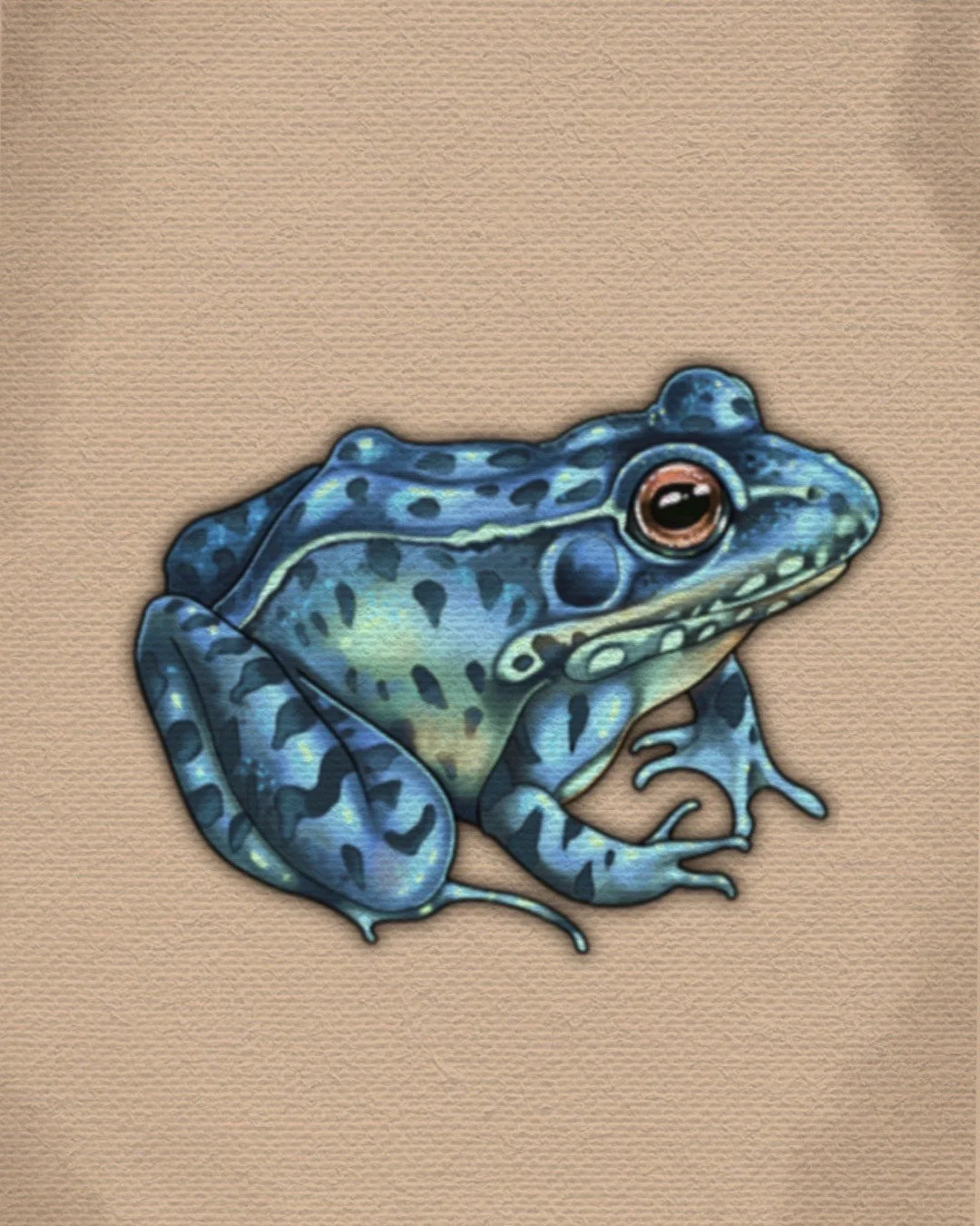 Untitled_Artwork (21).jpeg