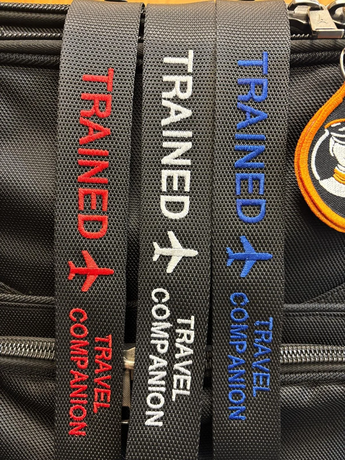 travelcompanion image.jpeg