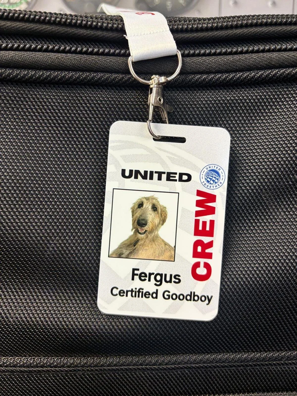 Pet Crew Badge