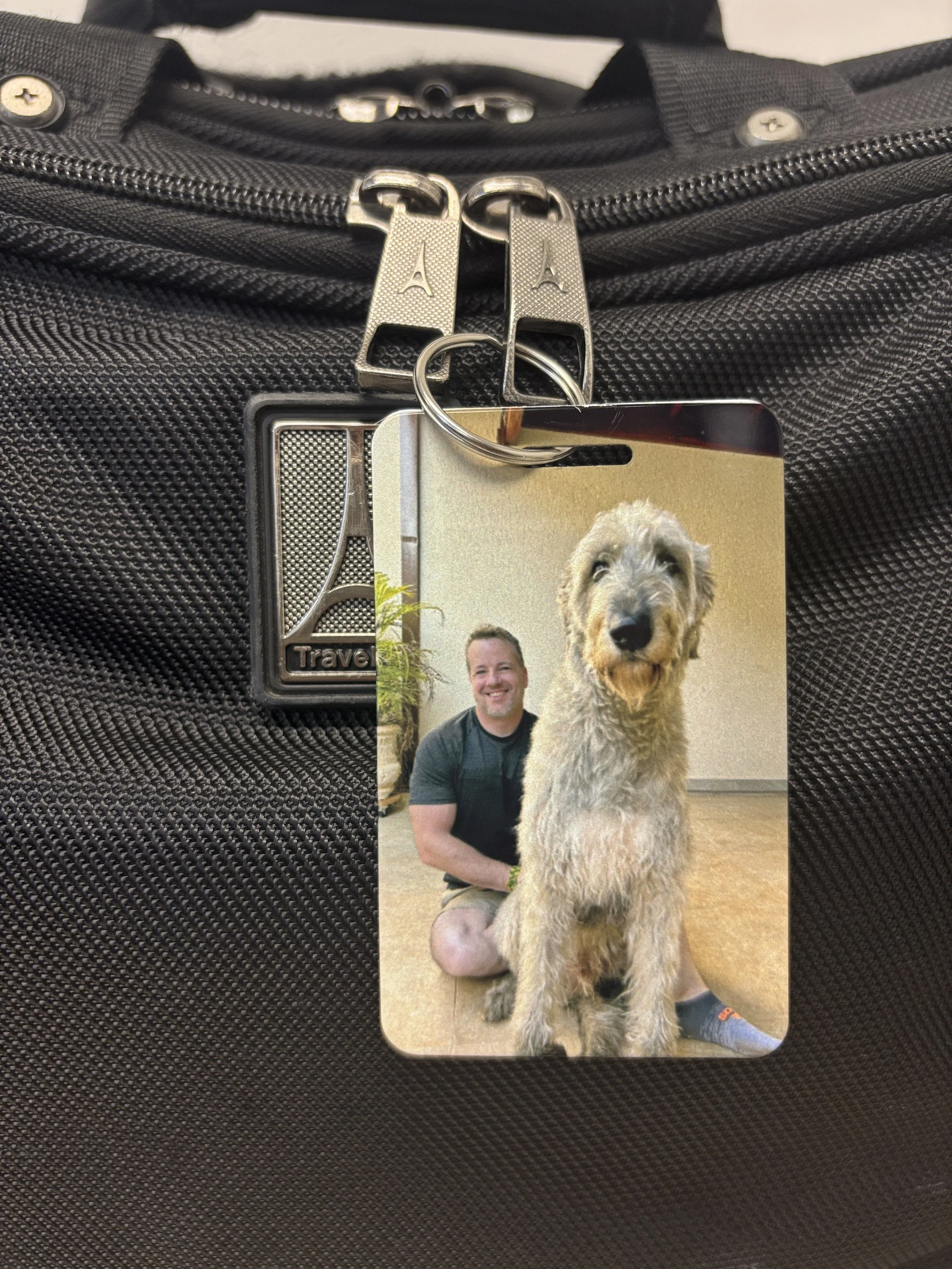 norm&fergus badge.jpeg