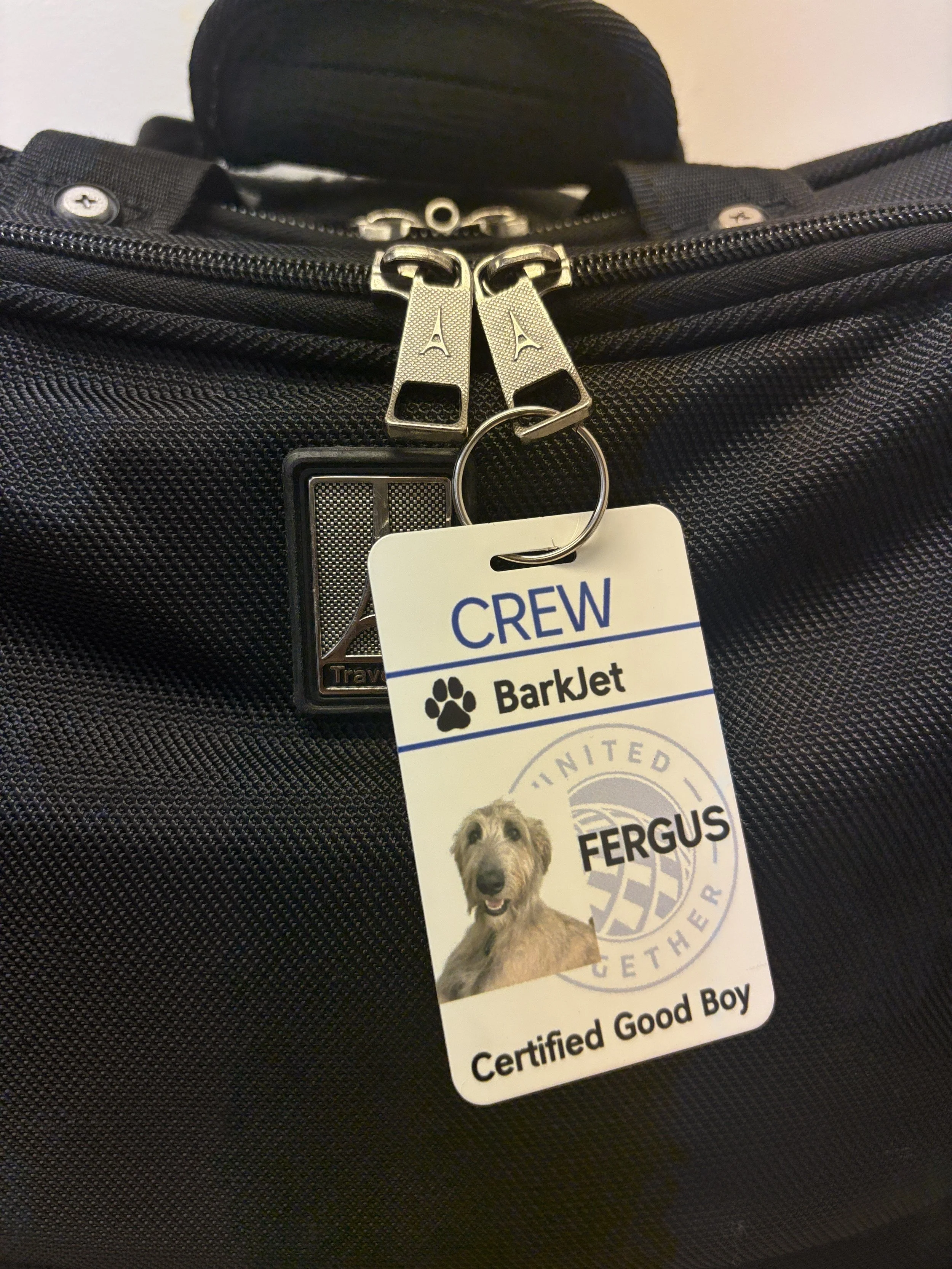 Fergus badge.jpeg