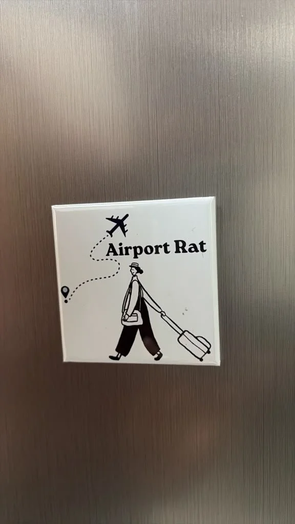 airport rat.jpeg