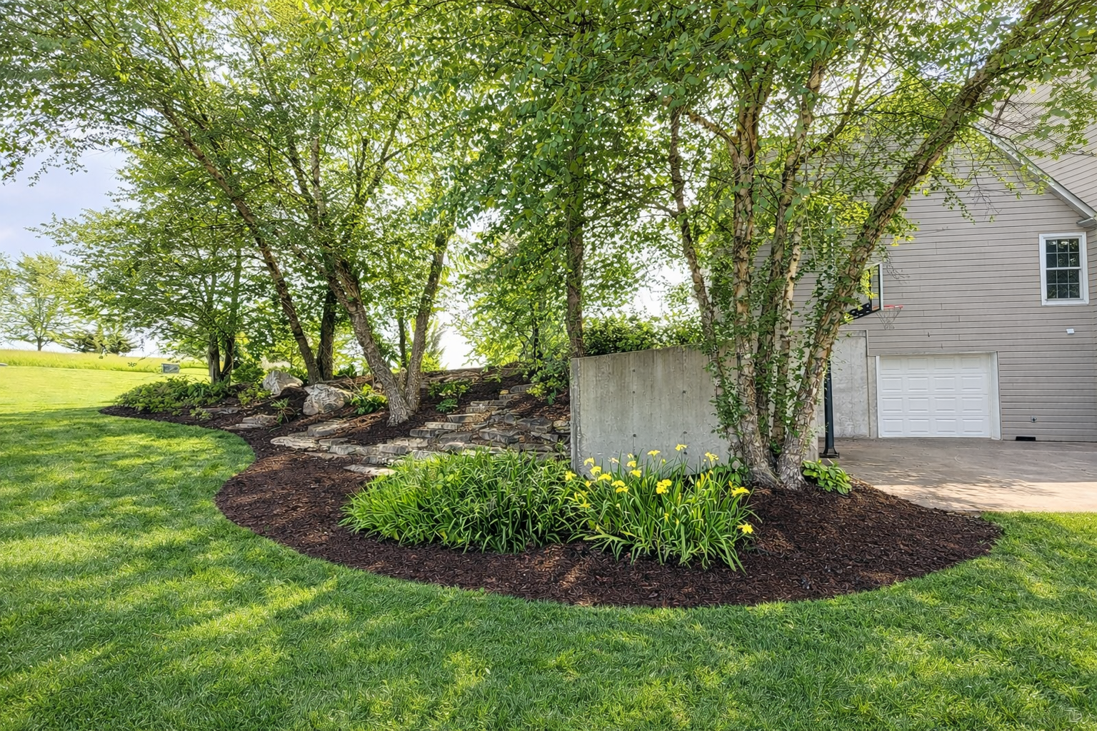 Lush green lawn with a landscaped garden bed featuring trees, yellow flowers, rocks, and mulch near a beige house with a garage.