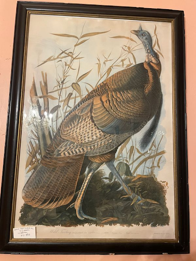John James Audubon Prints