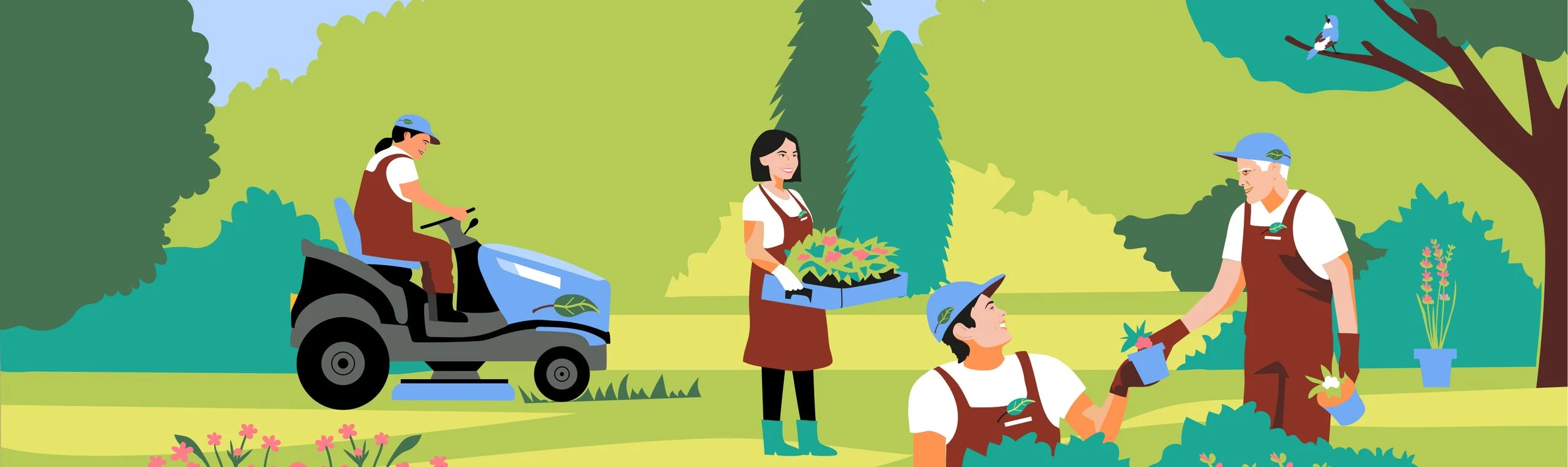 Amazon endemic illustrations