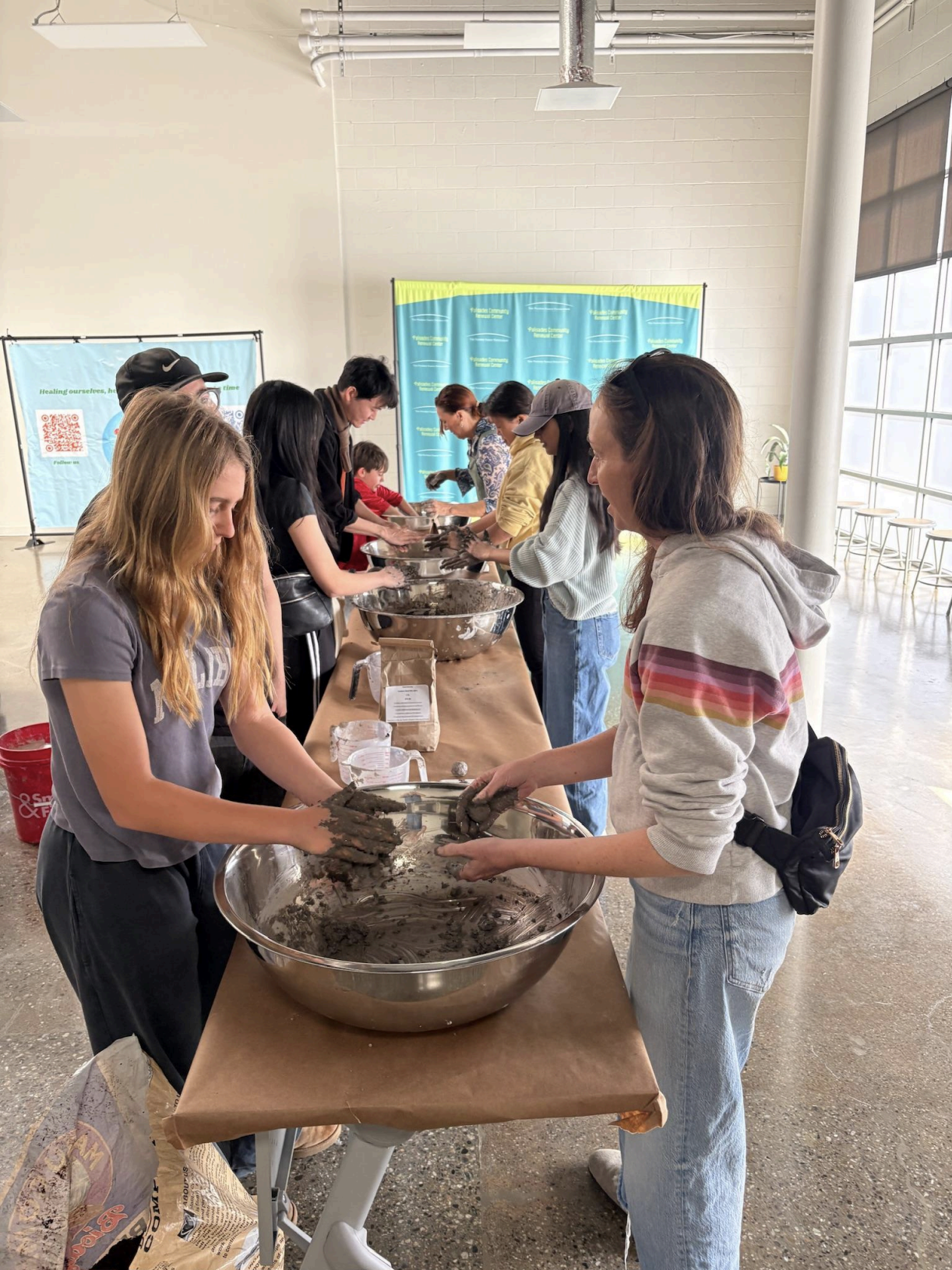 Seed Bomb Project 1.png