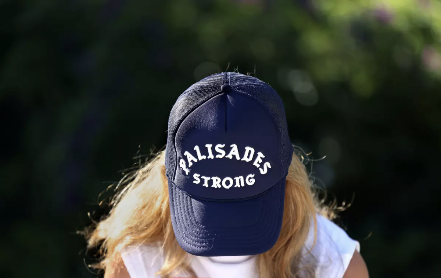 Screenshot 2026-01-09 at 3.41.16 PM.png