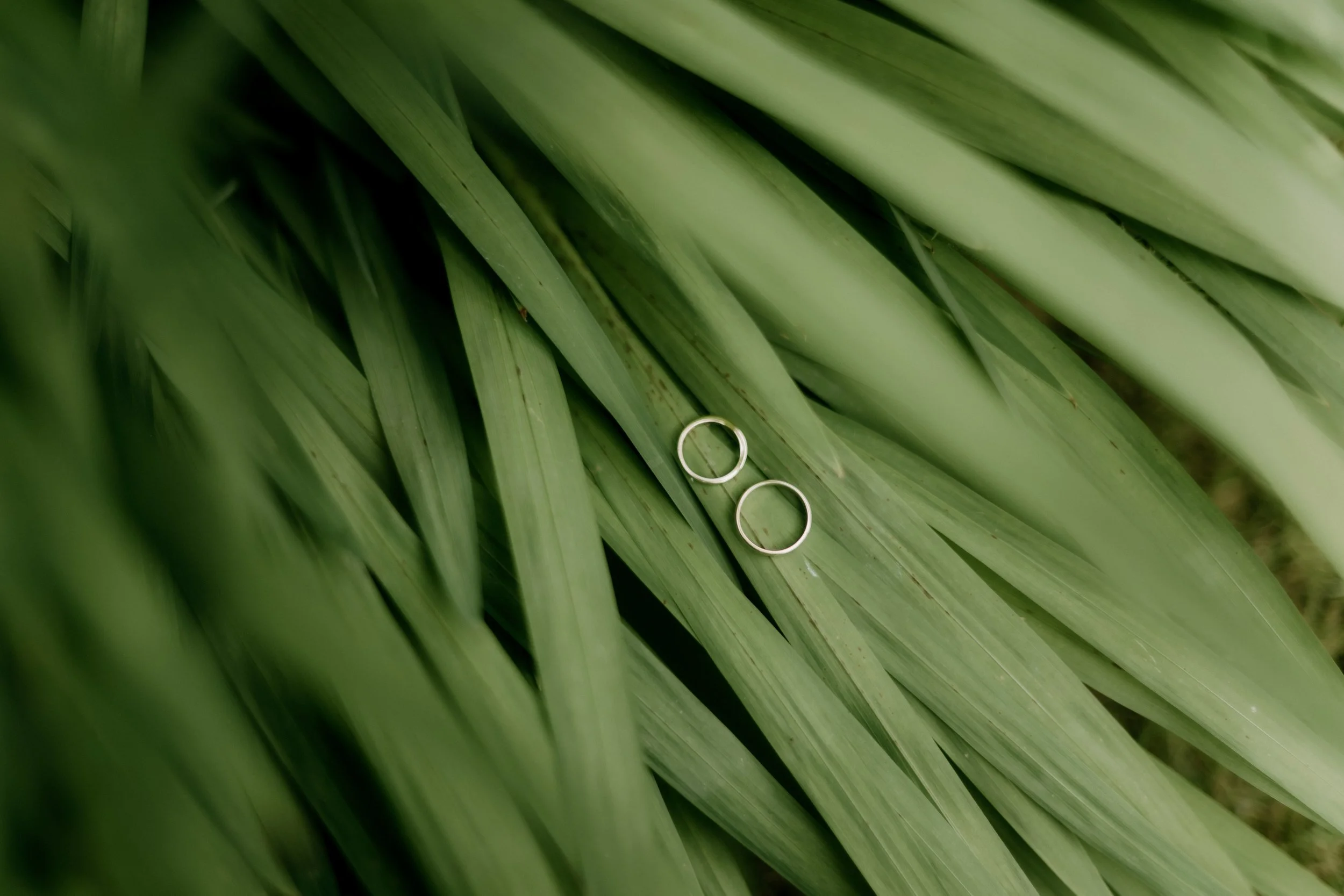 Anna and Angus Wedding Day (20).jpg