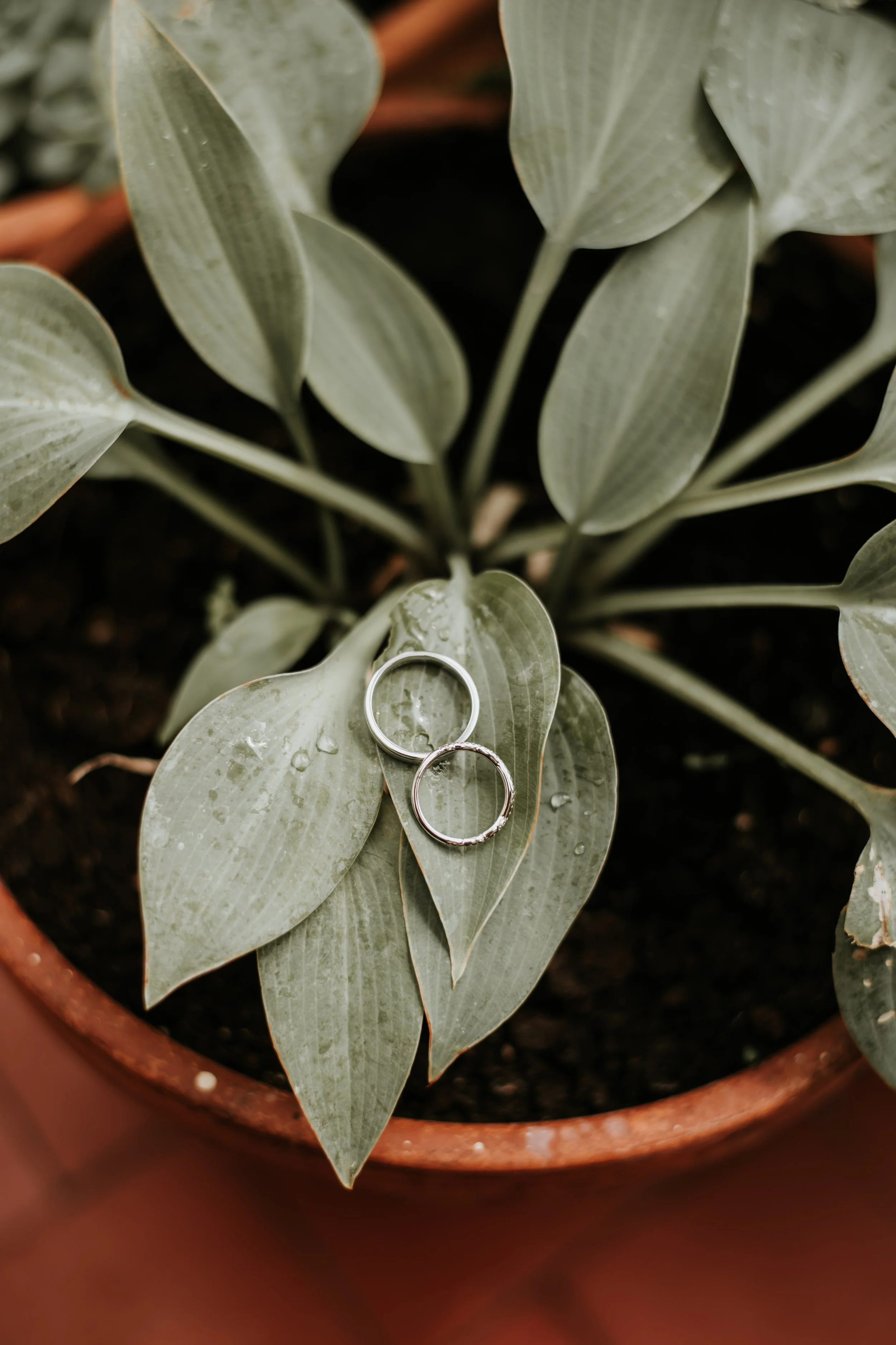 Erin and Dan Wedding Day (181).jpg