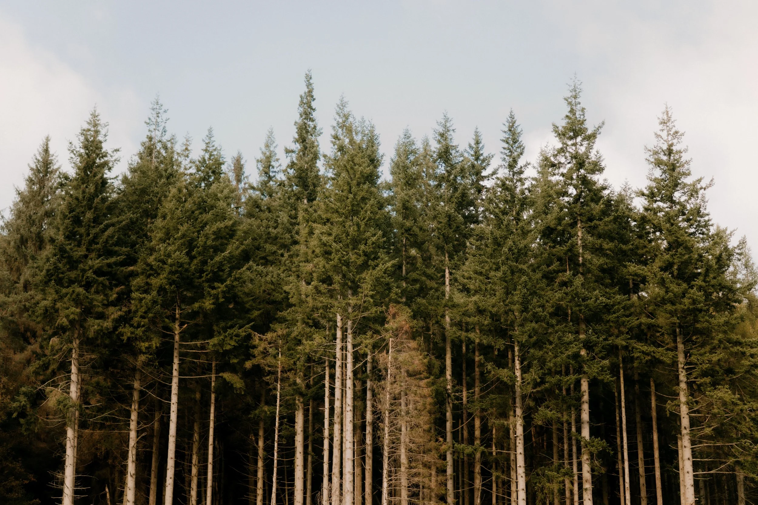 Lizzie and Niall Wedding Day (36).jpg