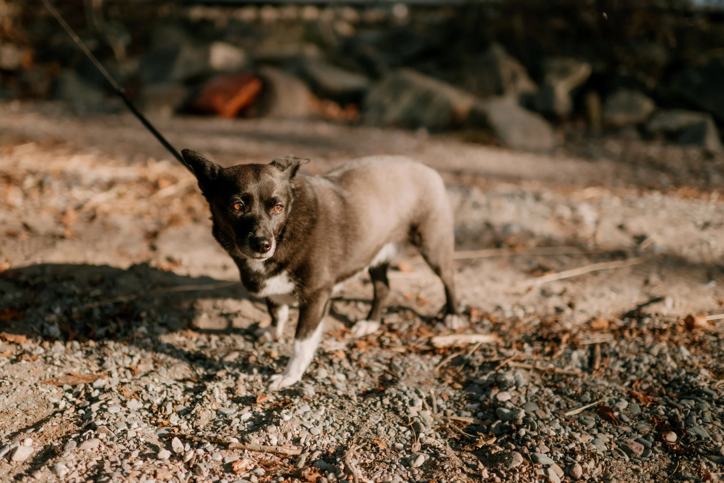 Lizzie and Niall Wedding Day (398).jpg