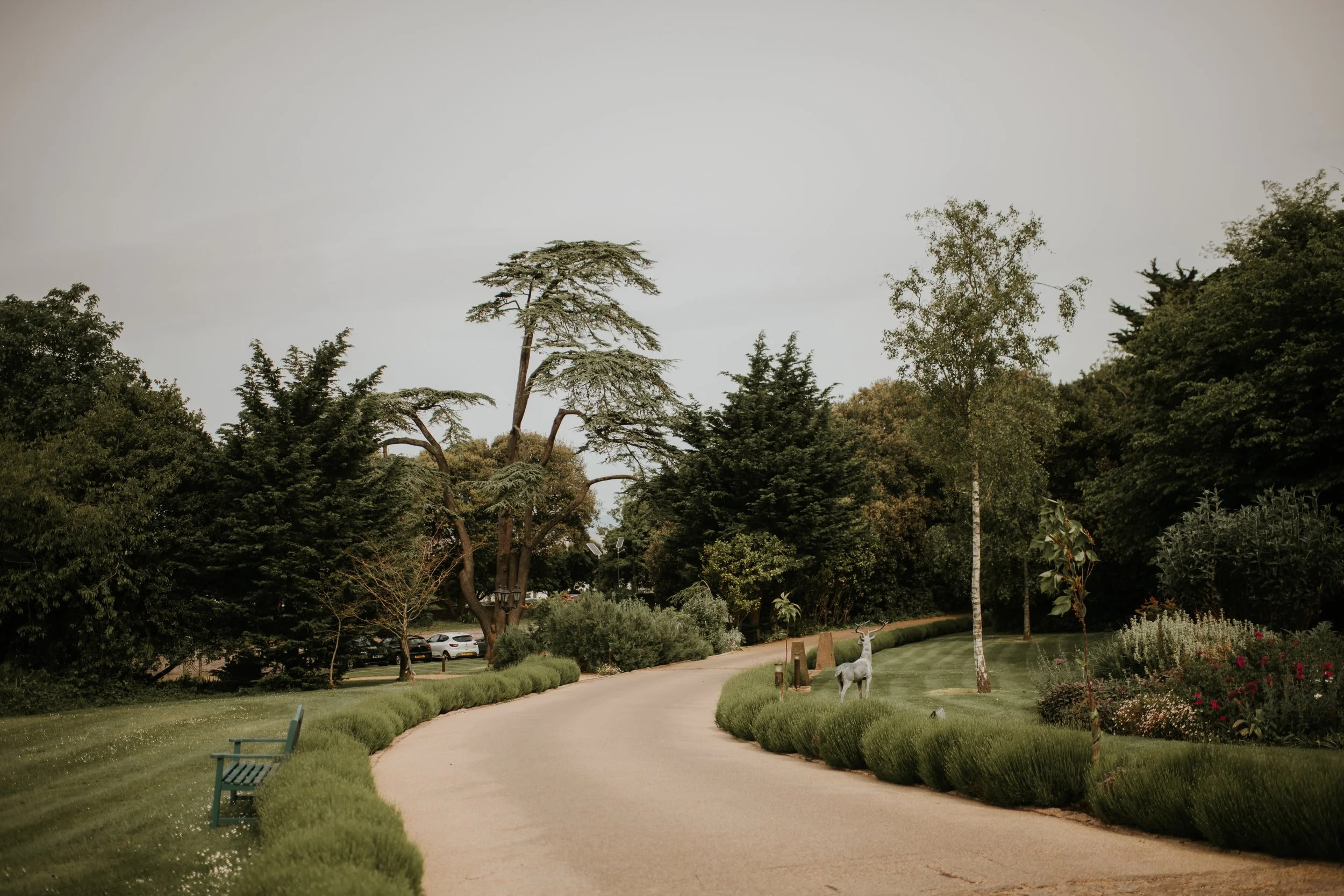 Erin and Dan Wedding Day (1).jpg