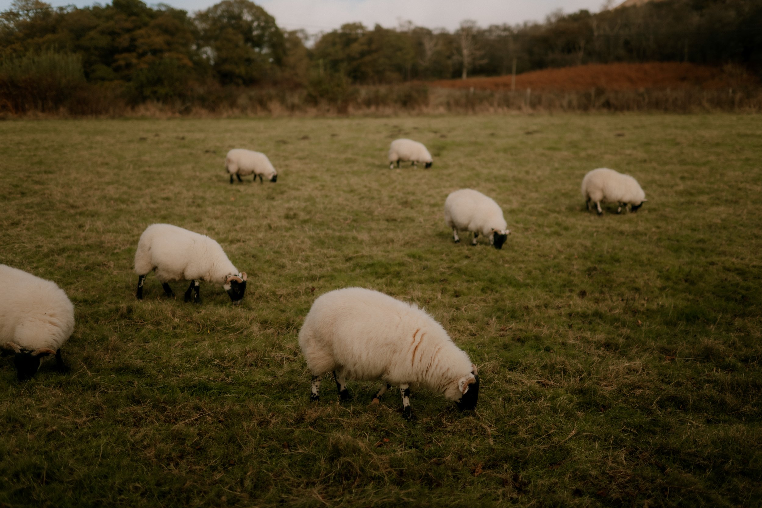 Lizzie and Niall Wedding Day (372).jpg