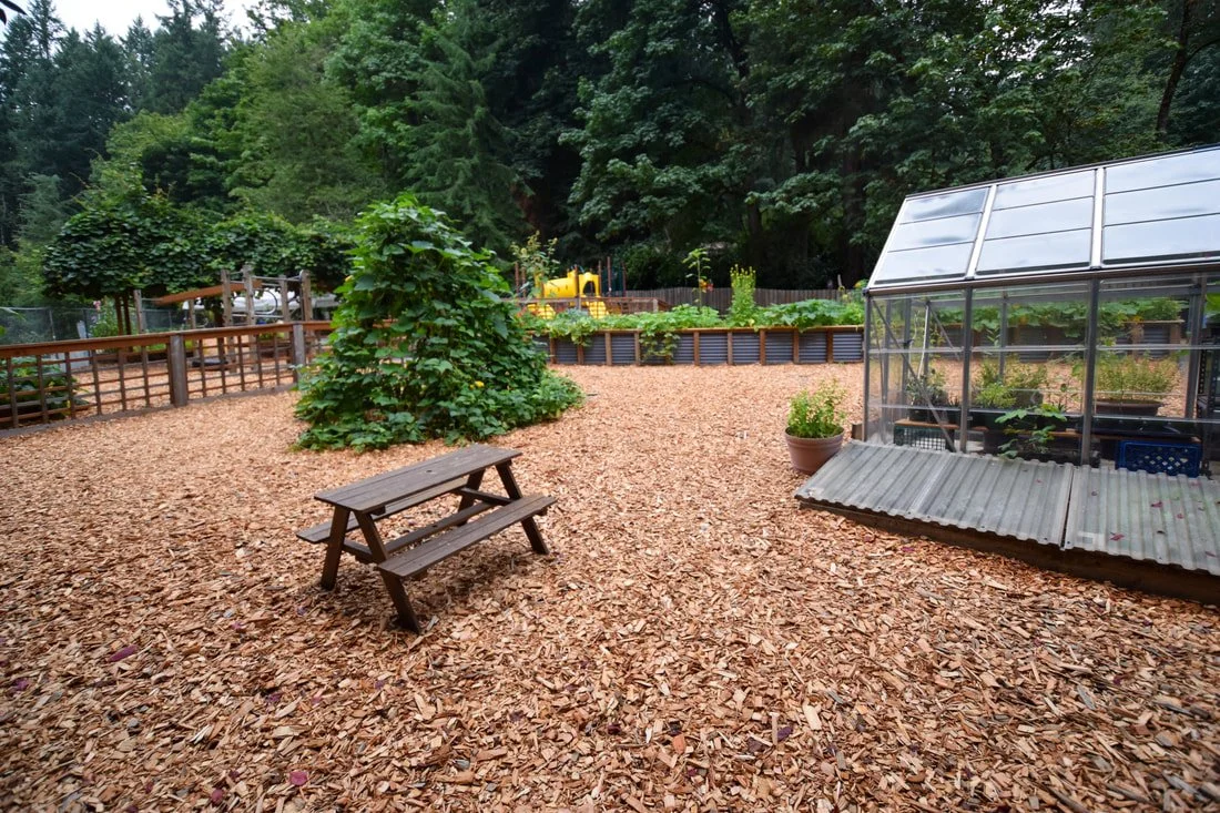 ecplayground2023-3_orig.jpg