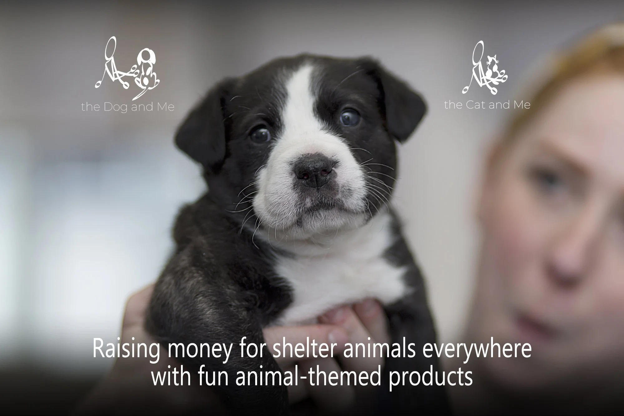 Person holding puppy