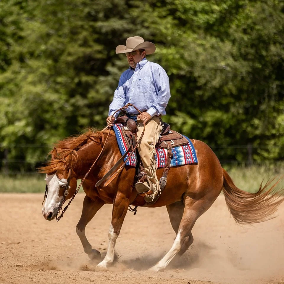 About — Next Level Performance Horses